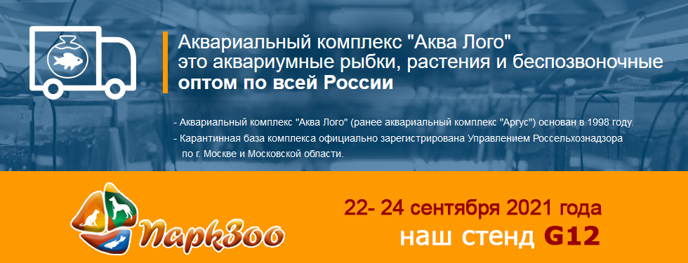 Аквариальный комплекс Аква Лого приглашает Вас на выставку ПаркЗоо!