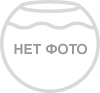 Апоногетон Боивина